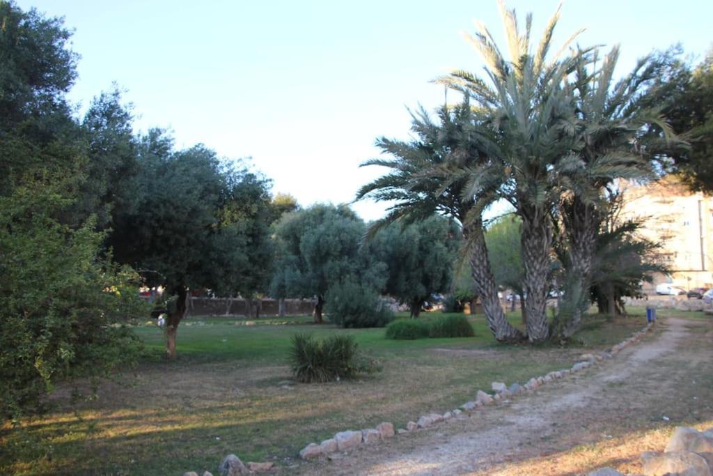Ferienwohnung Tesoro Del Eden Torrevieja Exterior foto